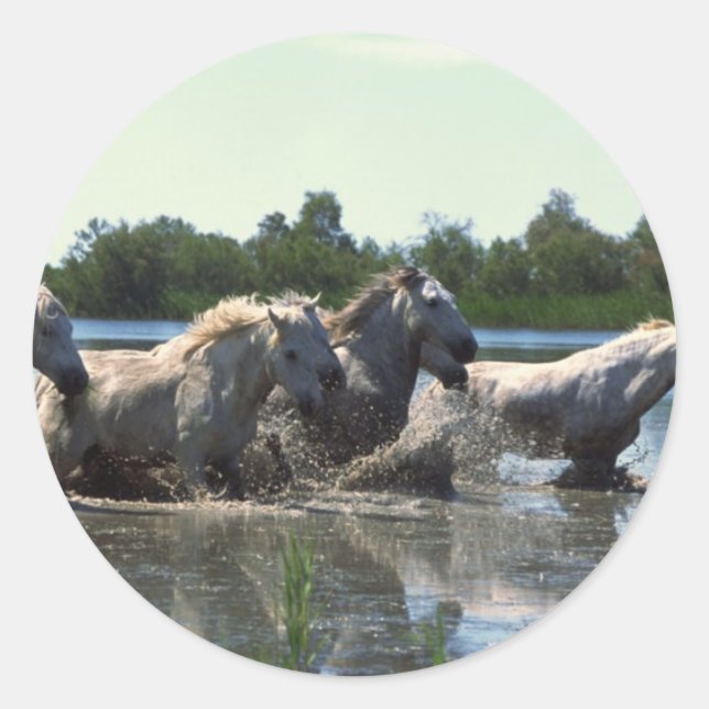 Horses Crossing Water Classic Round Sticker (Front)