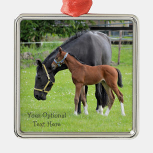 Horses custom ornaments