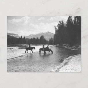 Horses drinking from and crossing a river postcard