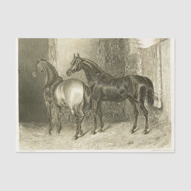 Horses Ephemera Decoupage Vintage French  Tissue Paper (Front)