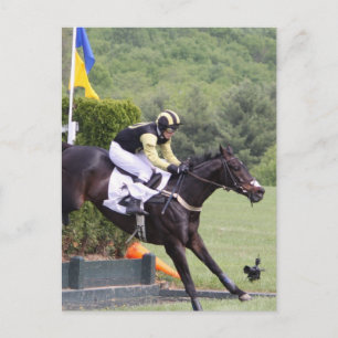 Horses Eventing Postcard