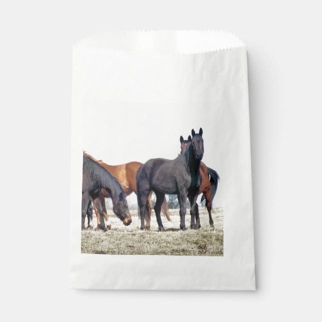 HORSES FAVOUR BAGS (Front)