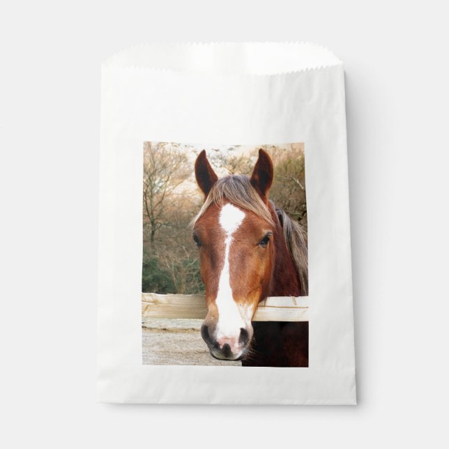 HORSES FAVOUR BAGS (Front)