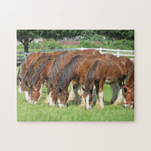 Horses feeding in a field jigsaw puzzle
