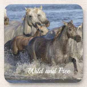 Horses galloping in the water coaster