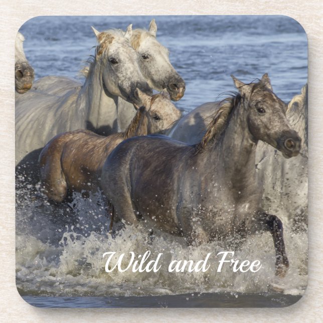 Horses galloping in the water coaster (Front)