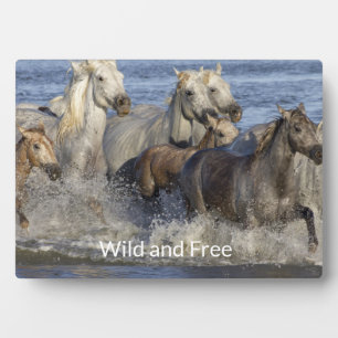 Horses galloping in the water plaque