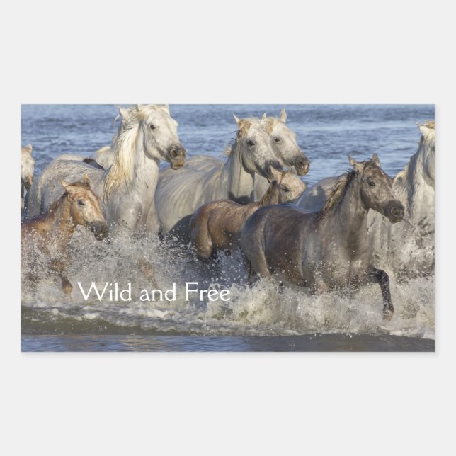 Horses galloping in the water rectangular sticker (Front)