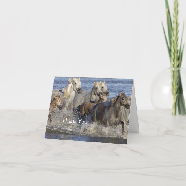 Horses galloping in the water thank you card (Front)