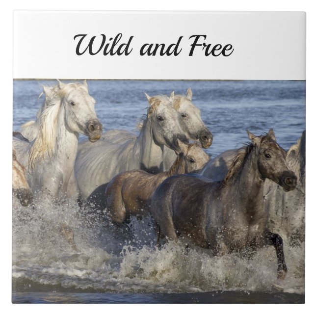 Horses galloping in the water tile (Front)