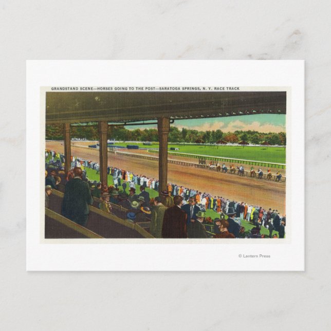 Horses Going to the Post at Race Track Postcard (Front)