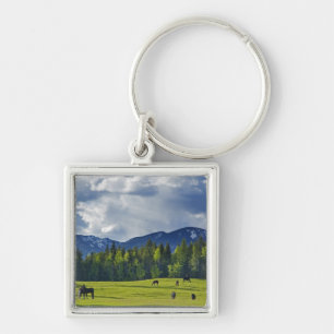 Horses graze in pasture near Whitefish, Key Ring