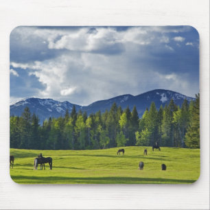 Horses graze in pasture near Whitefish, Mouse Pad