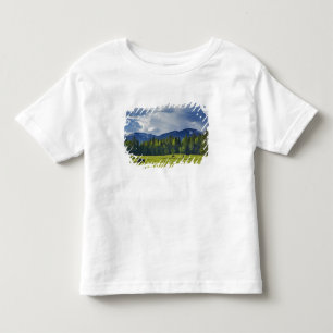 Horses graze in pasture near Whitefish, Toddler T-Shirt
