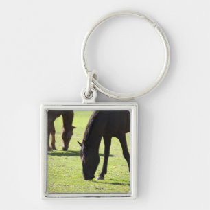 Horses grazing 2 key ring