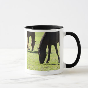 Horses grazing 2 mug