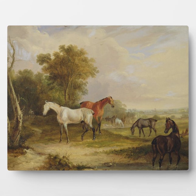 Horses Grazing: A Grey Stallion grazing with Mares Plaque (Front)