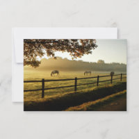 Horses Grazing in Sunrise Pasture