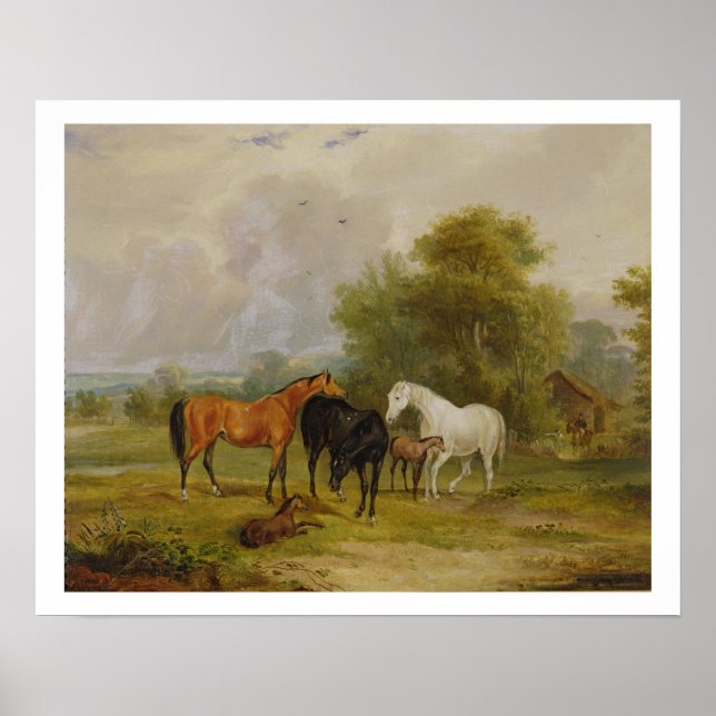 Horses Grazing: Mares and Foals in a Field (oil on Poster (Front)