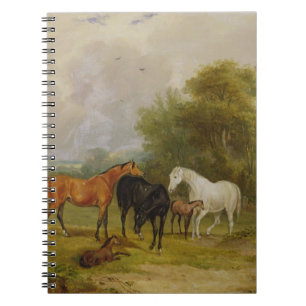 Horses Grazing: Mares and Foals in a Field (oil on Spiral Notebook