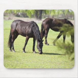 horses grazing on a horse farm mouse pad