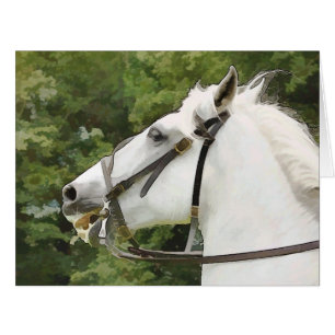 HORSES GREETINGS CARD