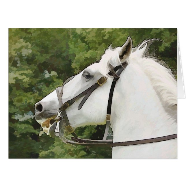 HORSES GREETINGS CARD (Front Horizontal)