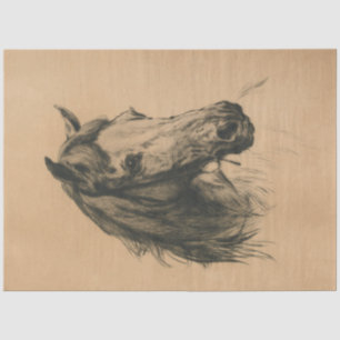 Horse's Head (by Heywood Hardy) Tissue Paper