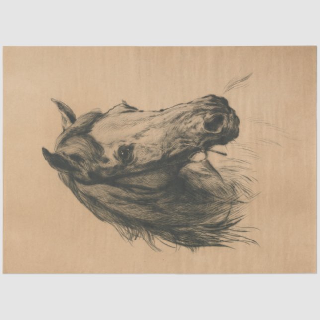 Horse's Head (by Heywood Hardy) Tissue Paper (Front)