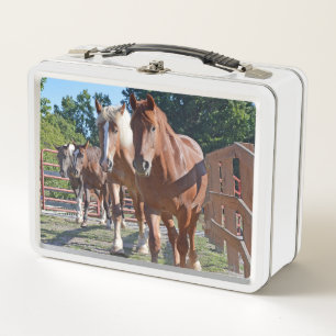 Horses Headed Back To The Barn Metal Lunch Box