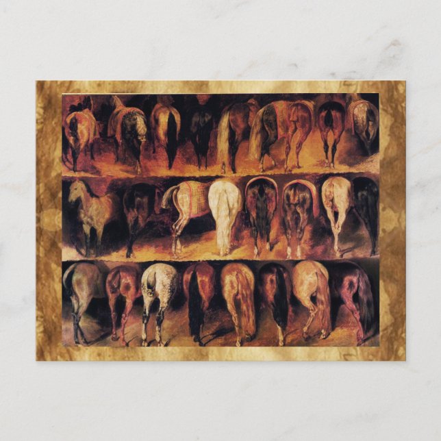 Horses' Hindquarters Postcard (Front)