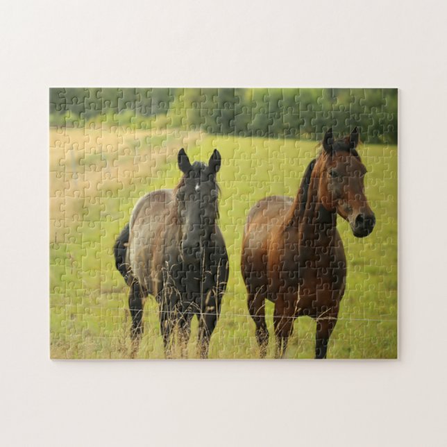 Horses Image Shot Jigsaw Puzzle (Horizontal)