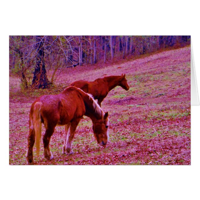 Horses in a lavender purple pink field, (Front Horizontal)