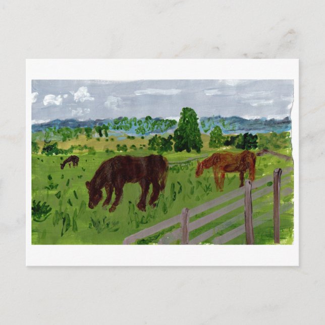 Horses in a lovely pasture postcard (Front)