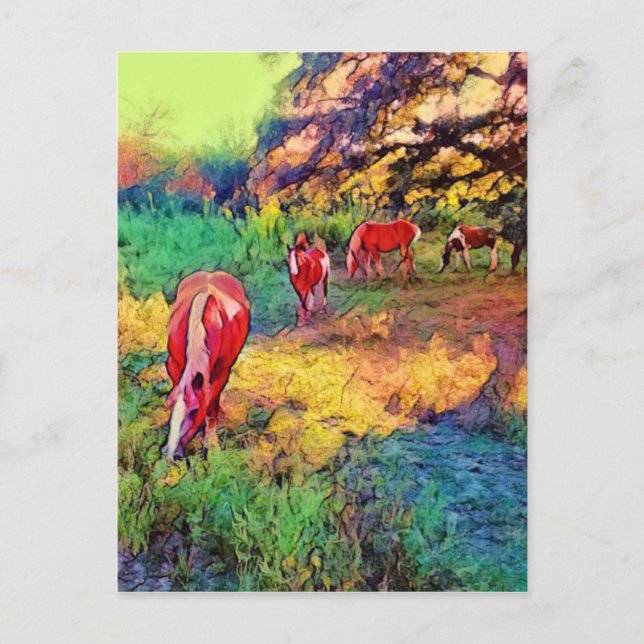 Horses in a Pasture Digital Painting Postcard (Front)