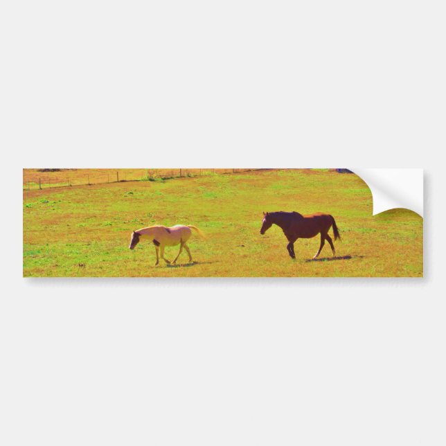 Horses in a Rainbow Coloured Field Bumper Sticker (Front)
