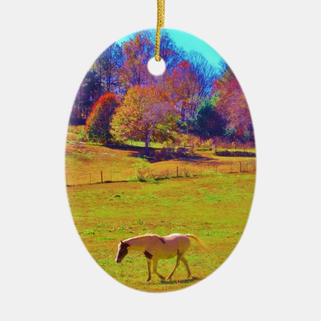 Horses in a Rainbow Coloured Field Ceramic Tree Decoration (Front)