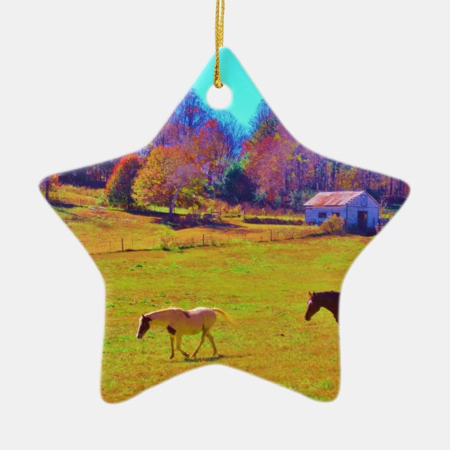 Horses in a Rainbow Coloured Field Ceramic Tree Decoration (Front)