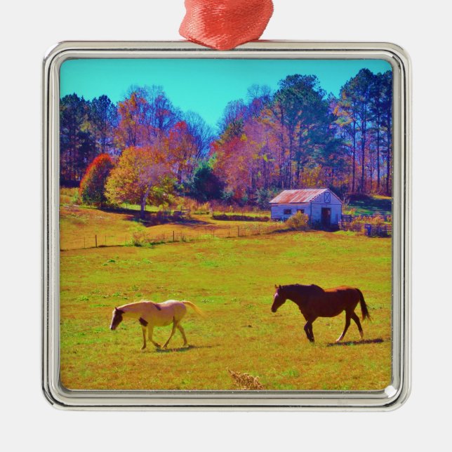 Horses in a Rainbow Coloured Field Metal Tree Decoration (Front)