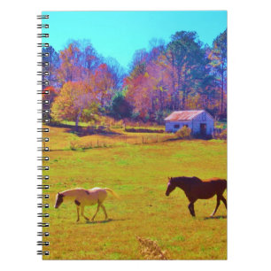 Horses in a Rainbow Coloured Field Notebook