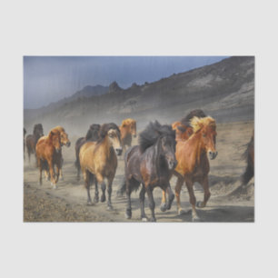 Horses in a shoot tissue paper