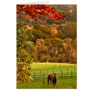 Horses in Autumn