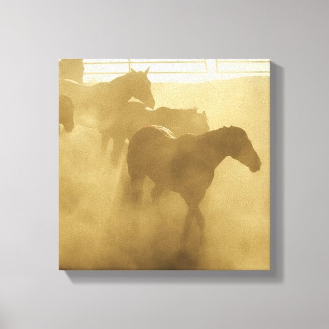 Horses in corral canvas print (Front)