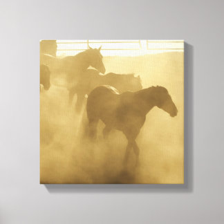Horses in corral canvas print