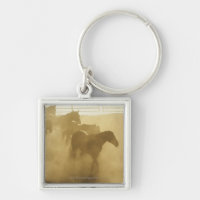 Horses in corral