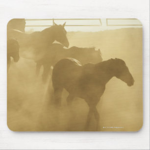Horses in corral mouse pad