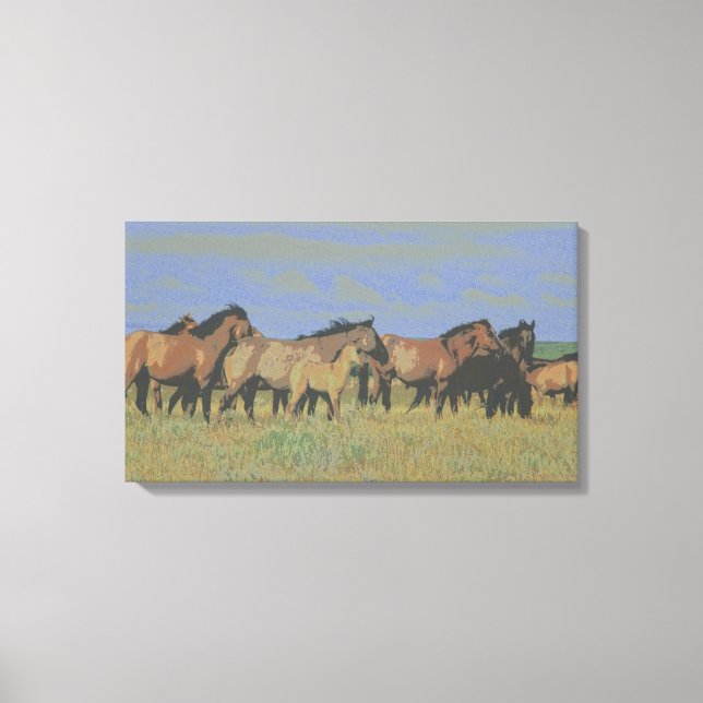 Horses in Field Canvas Print (Front)