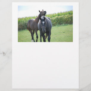 Horses in Love