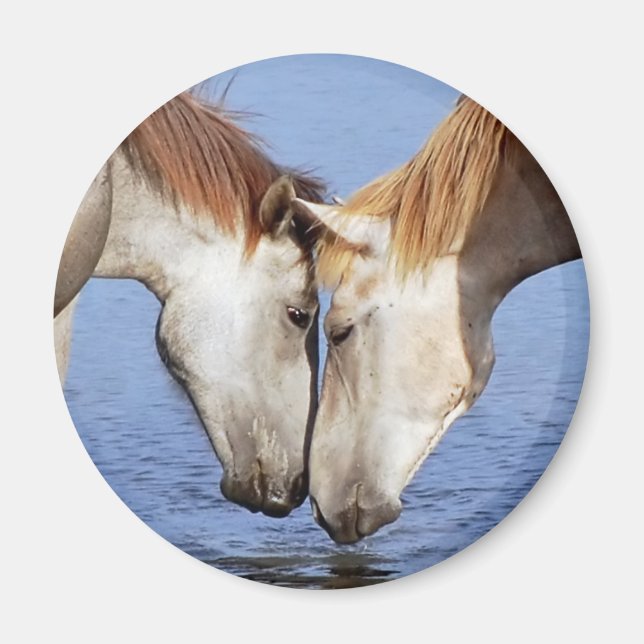HORSES IN LOVE MAGNET (Front)