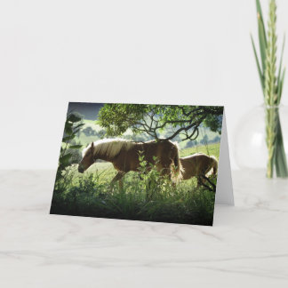 Horses In Meadow Card